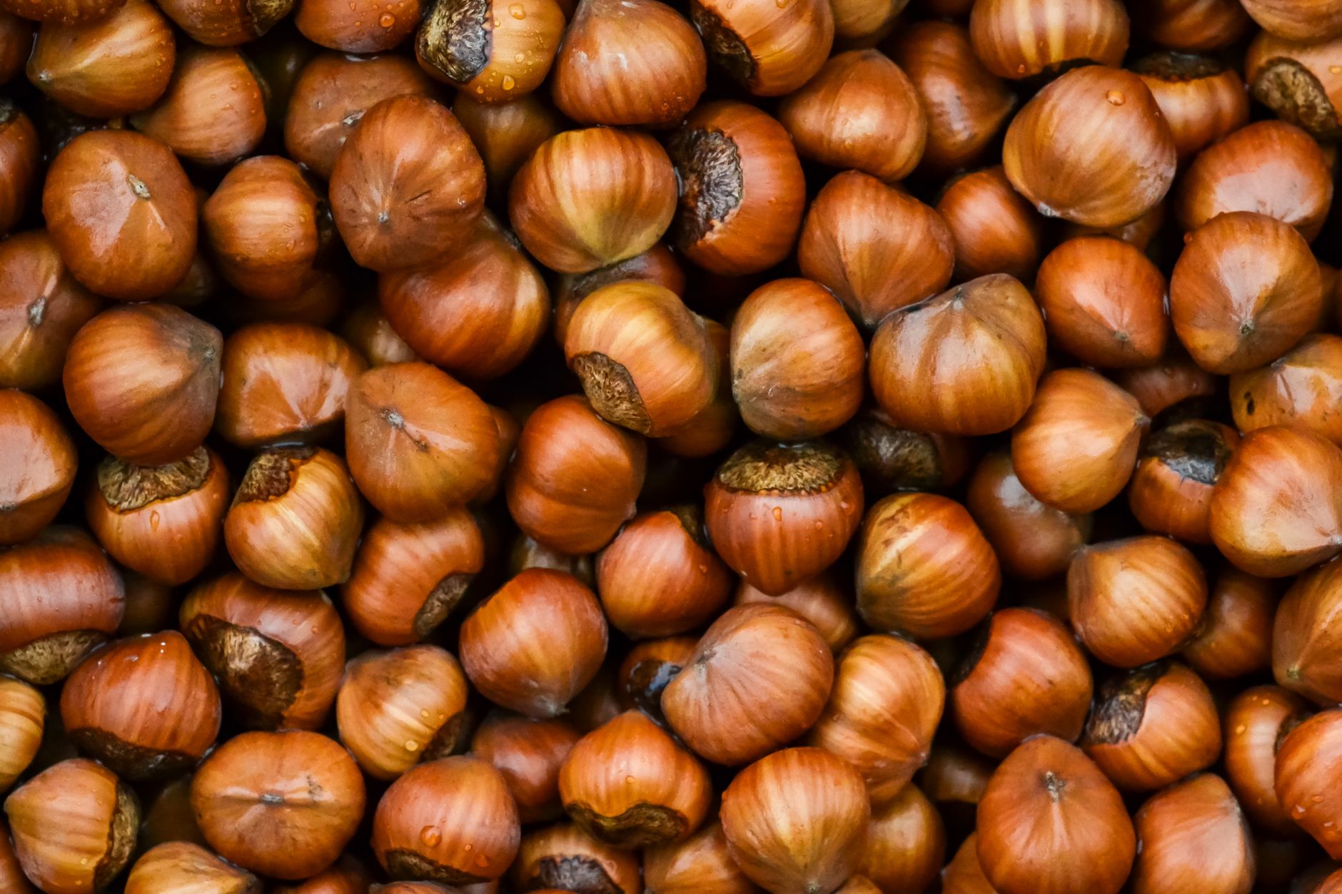 Fındık ve Karadeniz Mutfağı