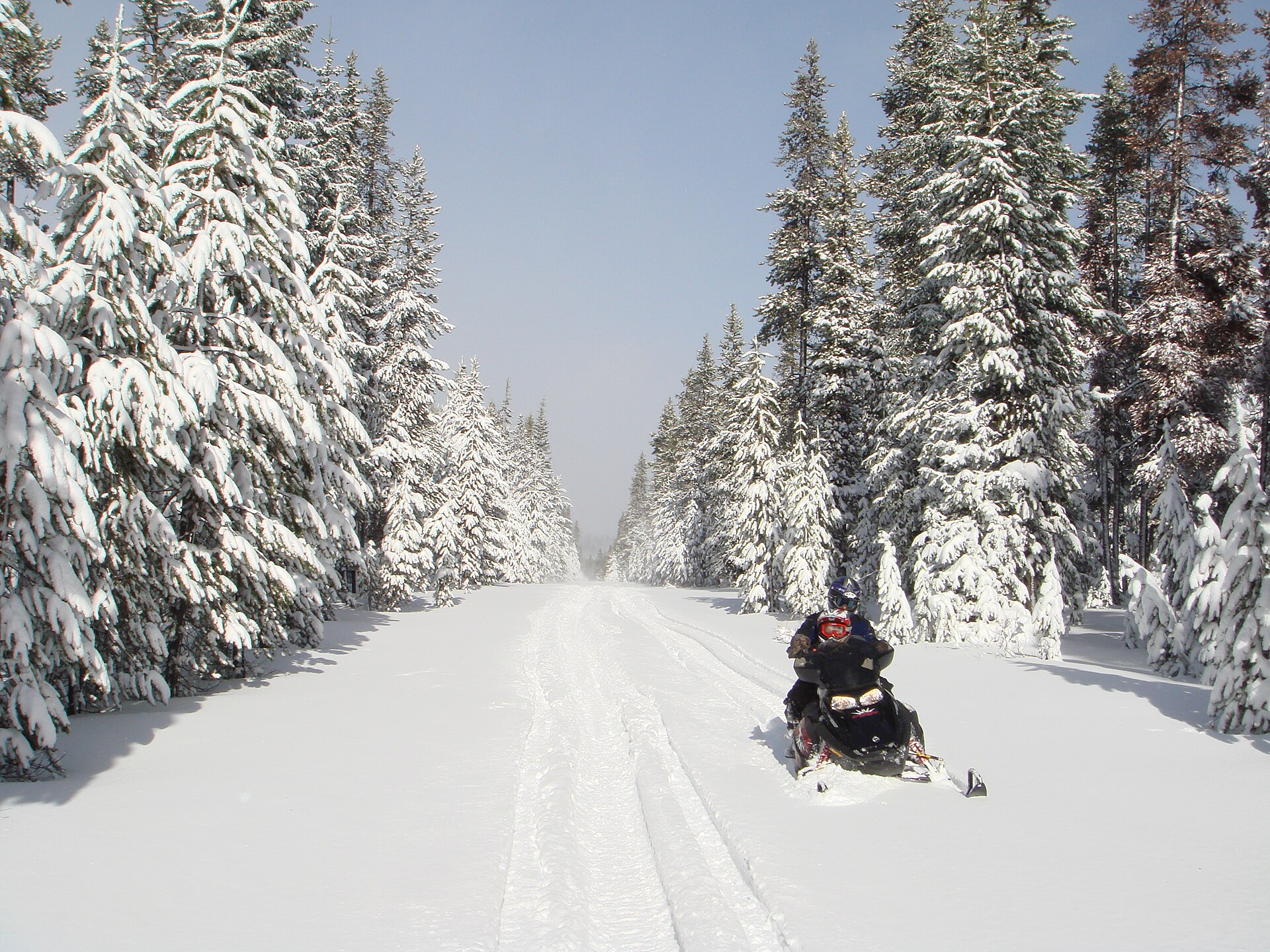 Snowmobile safari