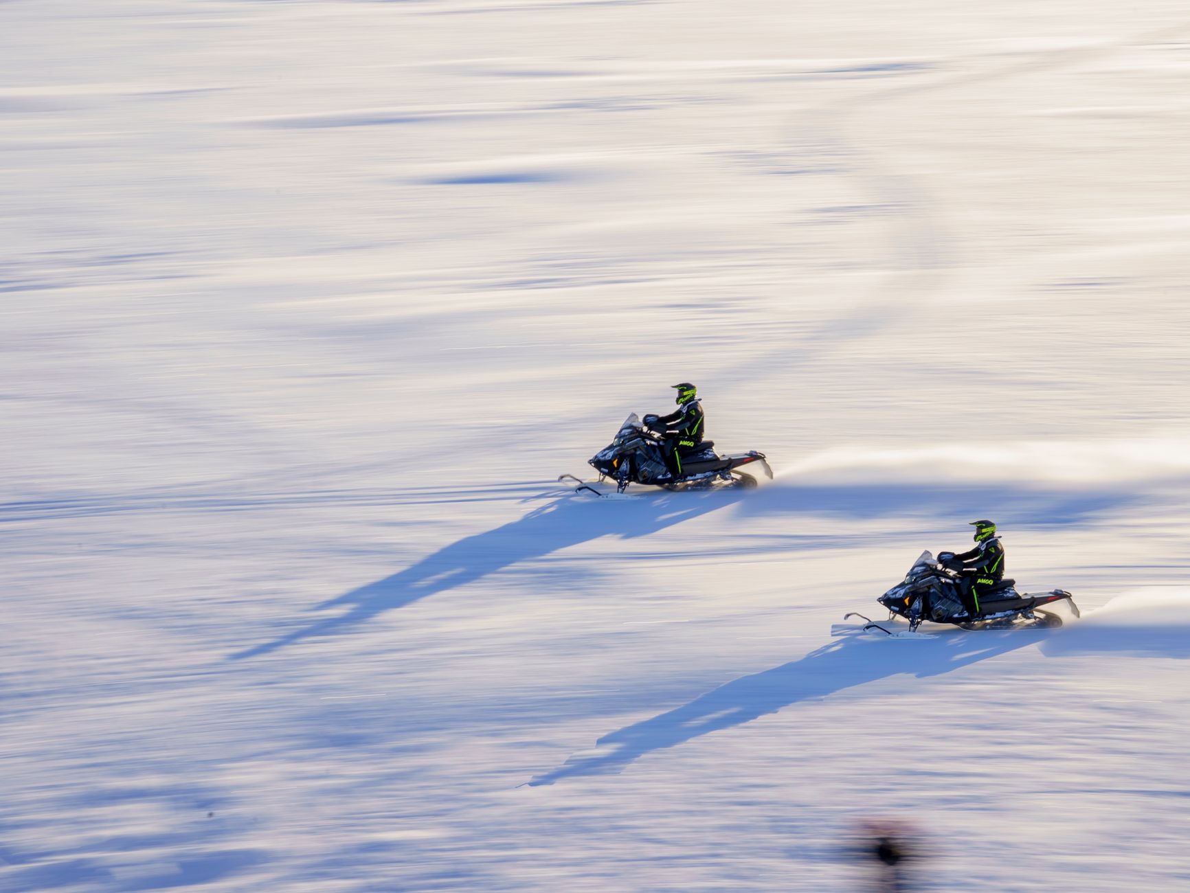 Snowmobile safari